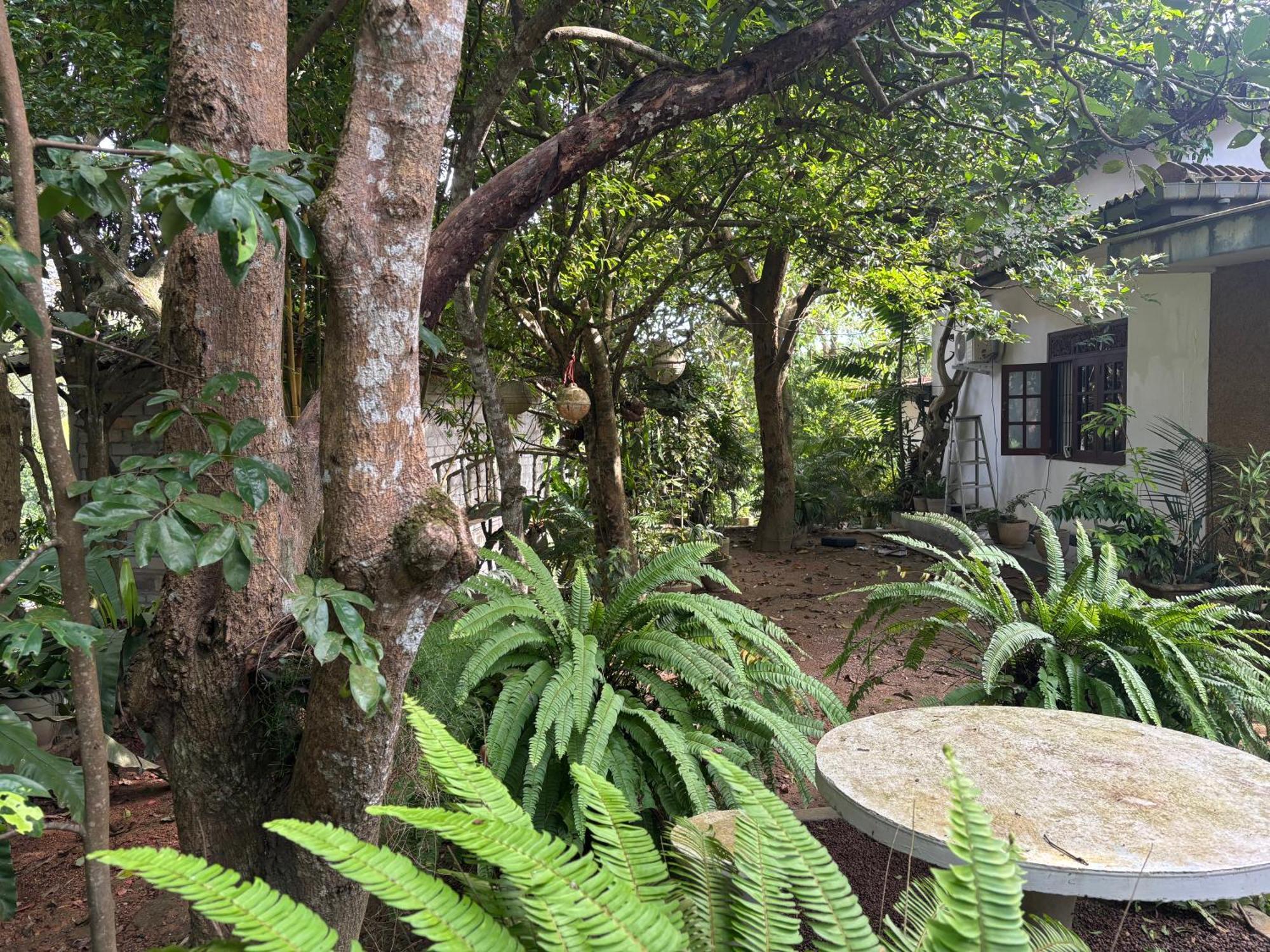 Hotel Eco Garden Hiriketiya Dikwella Exteriér fotografie